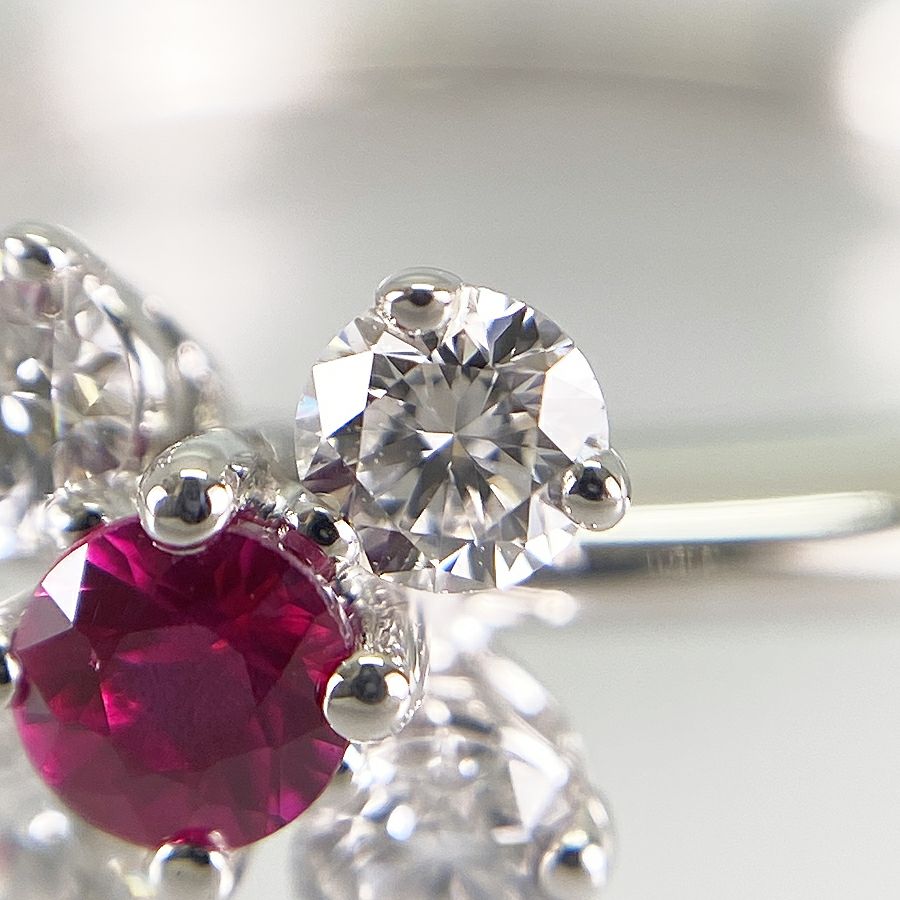 ピキョッティ リング