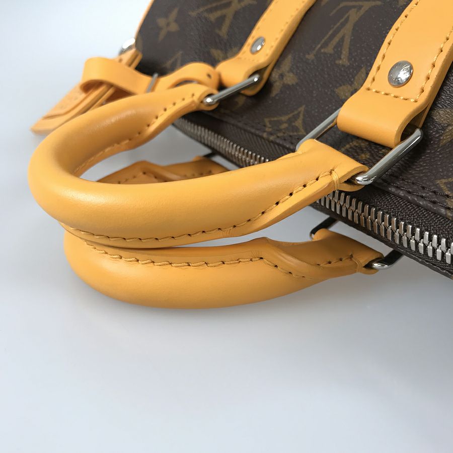 ルイ・ヴィトン ハンドバッグ