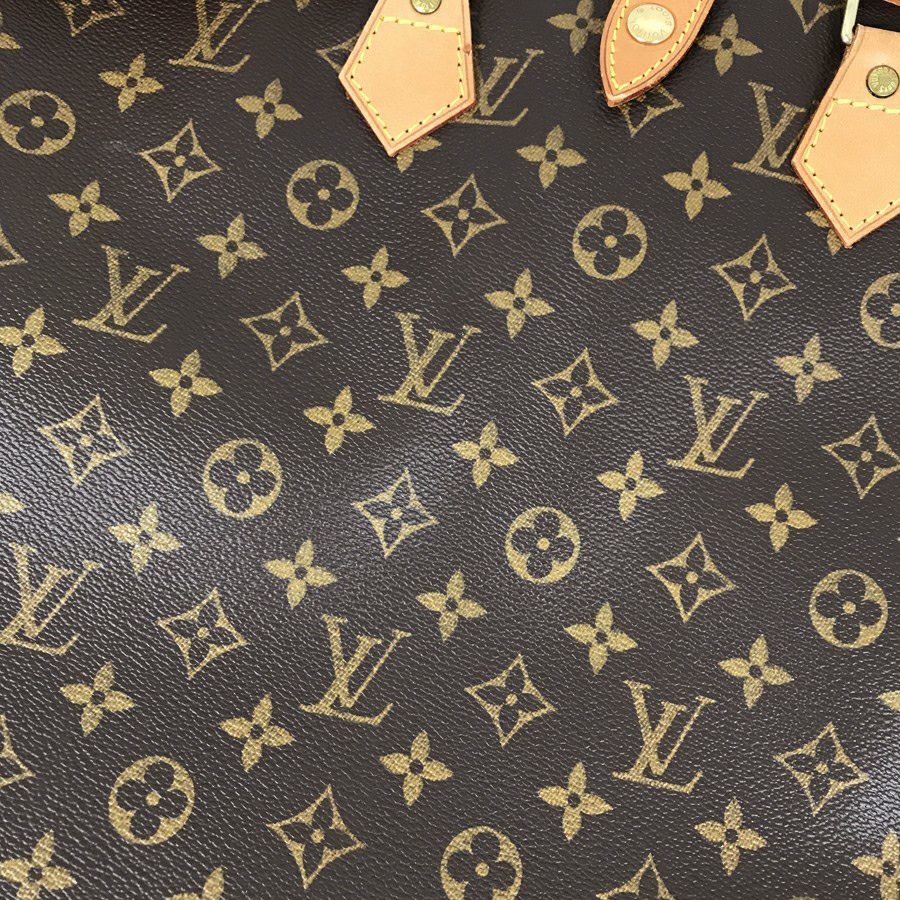 ルイ・ヴィトン ガーメントケース