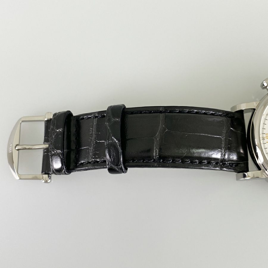 インターナショナルウォッチカンパニー IW391406 メンズ 腕時計