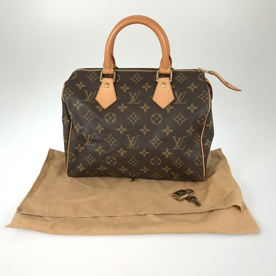 ルイ・ヴィトン ハンドバッグ