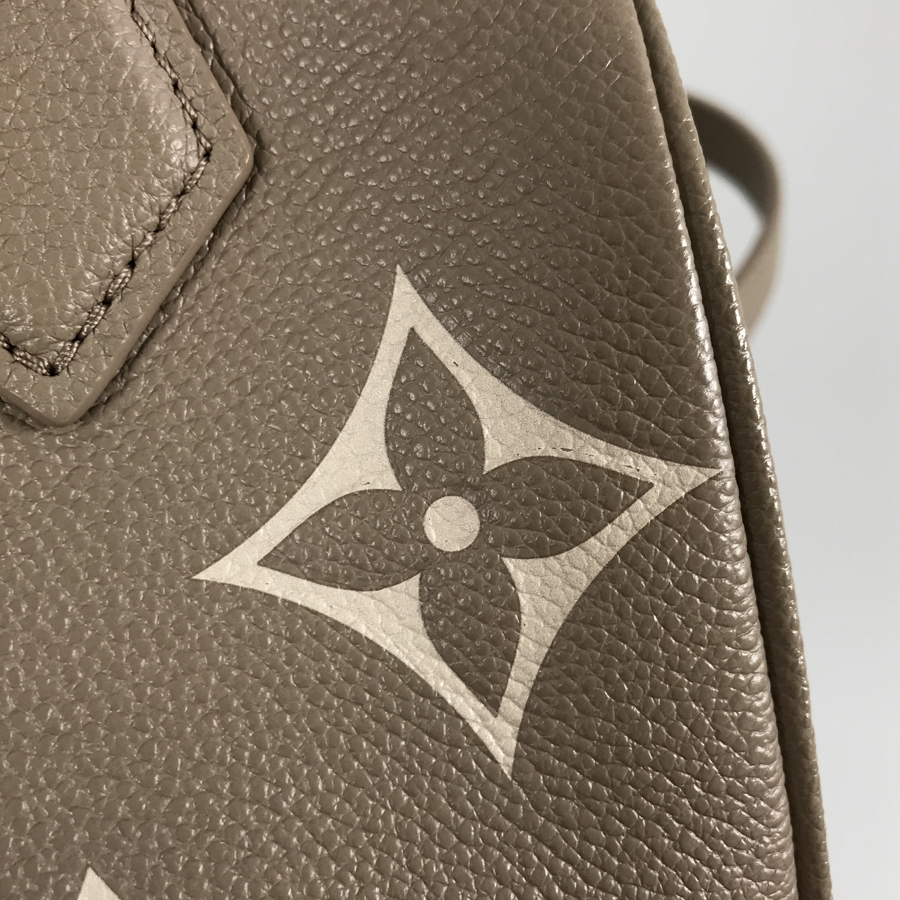 ルイ・ヴィトン ハンドバッグ