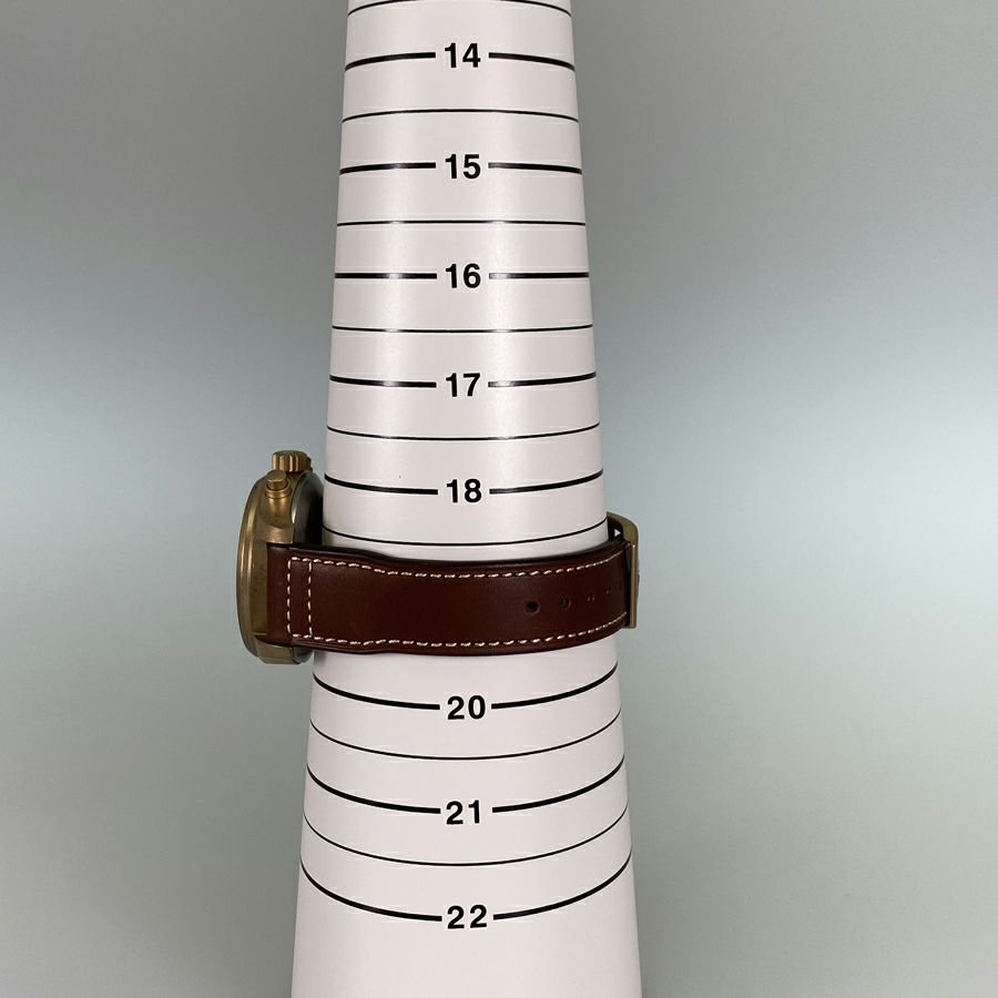 インターナショナルウォッチカンパニー メンズ 腕時計