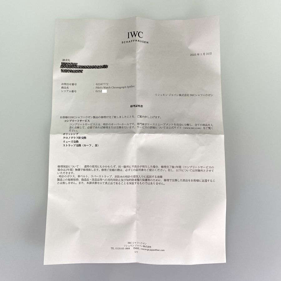 インターナショナルウォッチカンパニー メンズ 腕時計