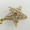 ディオール ピアス