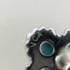 ヴァンクリーフ＆アーペル ピアス